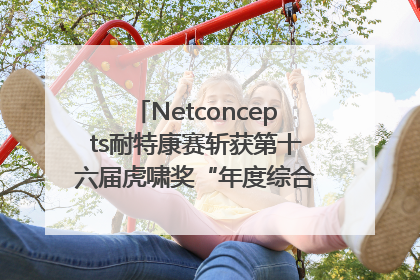 Netconcepts耐特康赛斩获第十六届虎啸奖“年度综合服务商”大奖